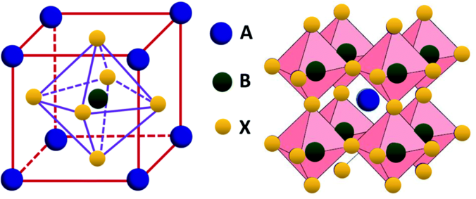 The structure of the Perovskite ABX$_3$